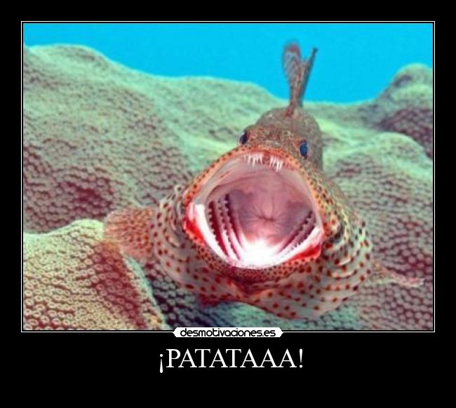 ¡PATATAAA! -