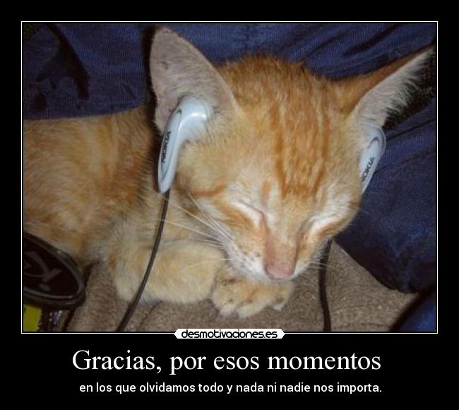 Gracias, por esos momentos  - 
