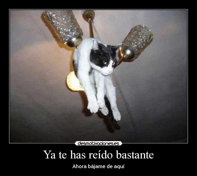 Ya te has reído bastante -