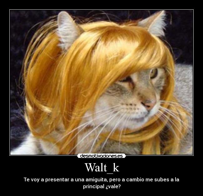Walt_k - Te voy a presentar a una amiguita, pero a cambio me subes a la principal ¿vale?