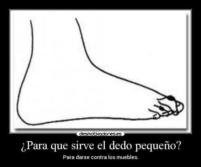 ¿Para que sirve el dedo pequeño? -
