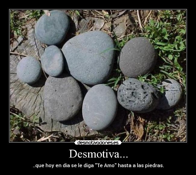 Desmotiva... - ..que hoy en dia se le diga Te Amo hasta a las piedras.