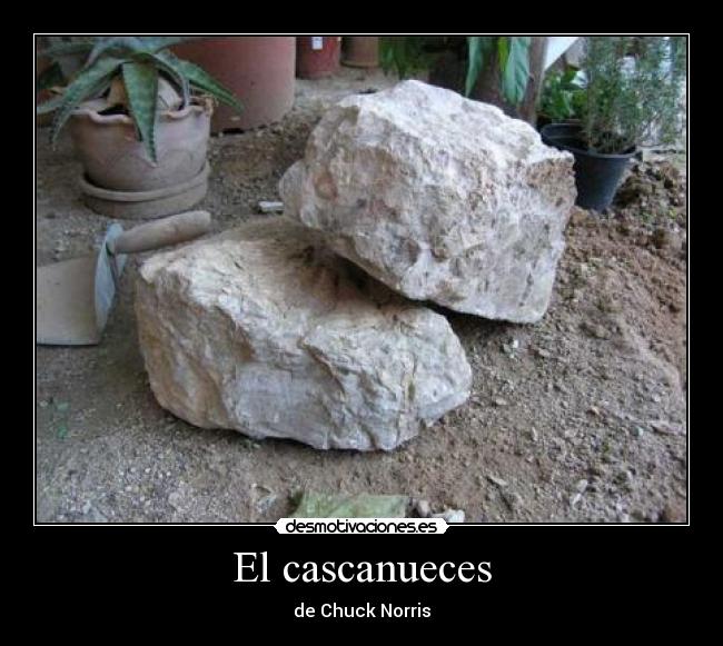 El cascanueces - de Chuck Norris