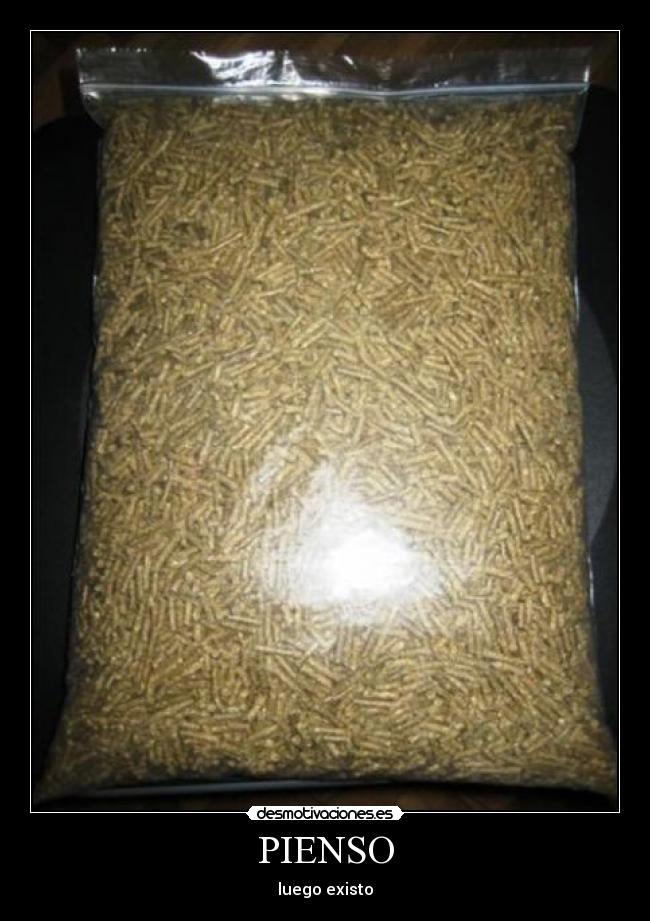 PIENSO - 