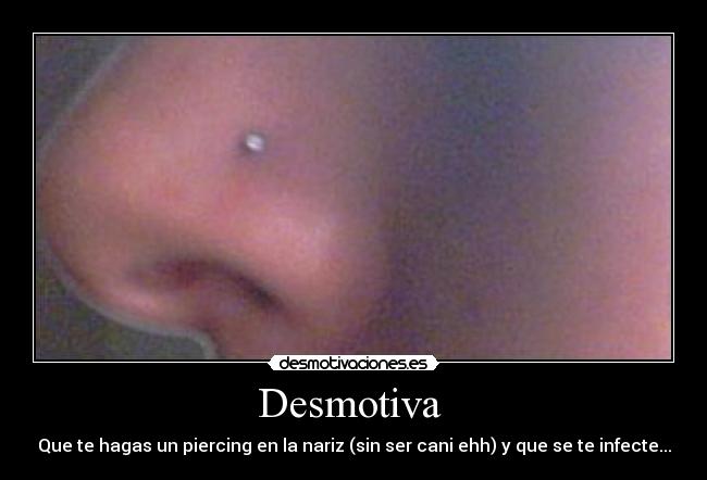 Desmotiva  - Que te hagas un piercing en la nariz (sin ser cani ehh) y que se te infecte...