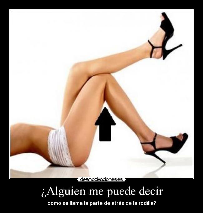 ¿Alguien me puede decir - 