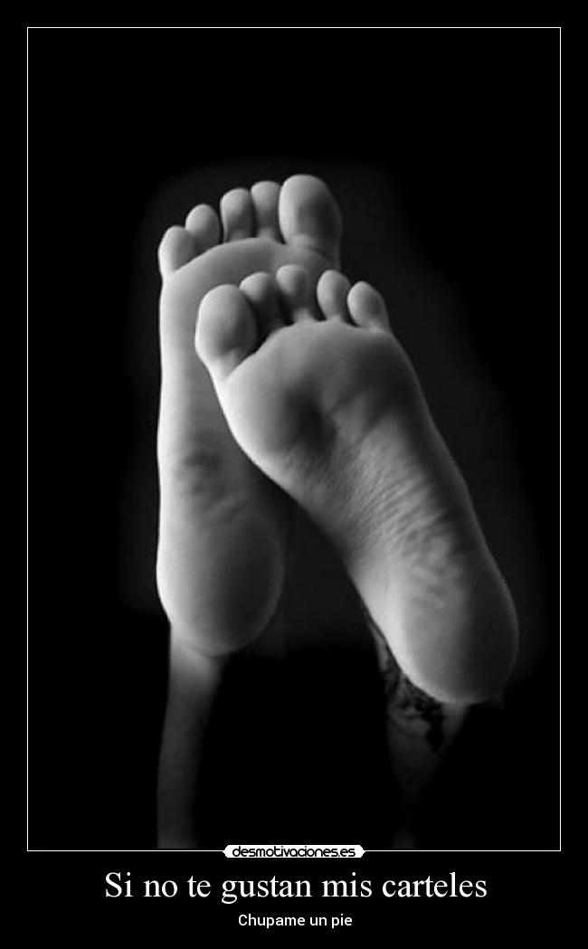 Si no te gustan mis carteles -