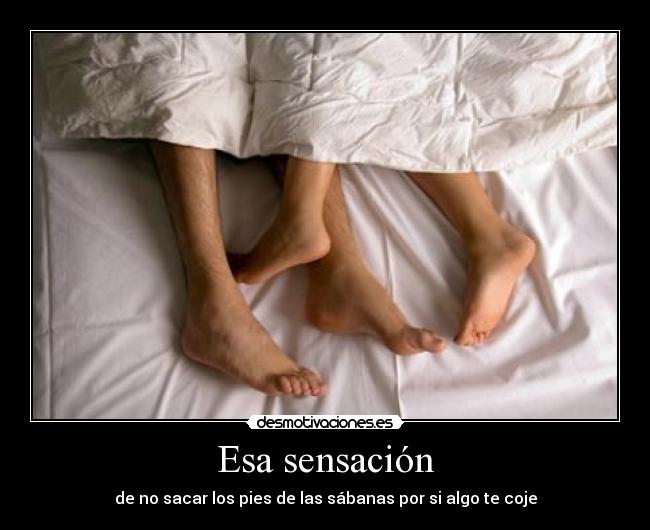 carteles sacar los pies las sabanas por algo coje desmotivaciones