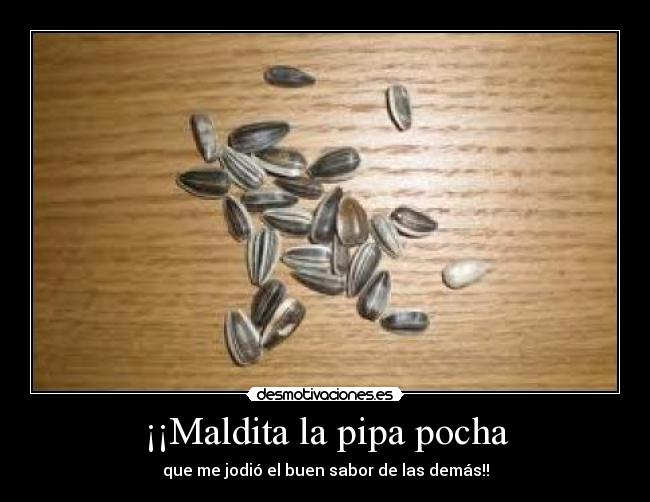 ¡¡Maldita la pipa pocha - 