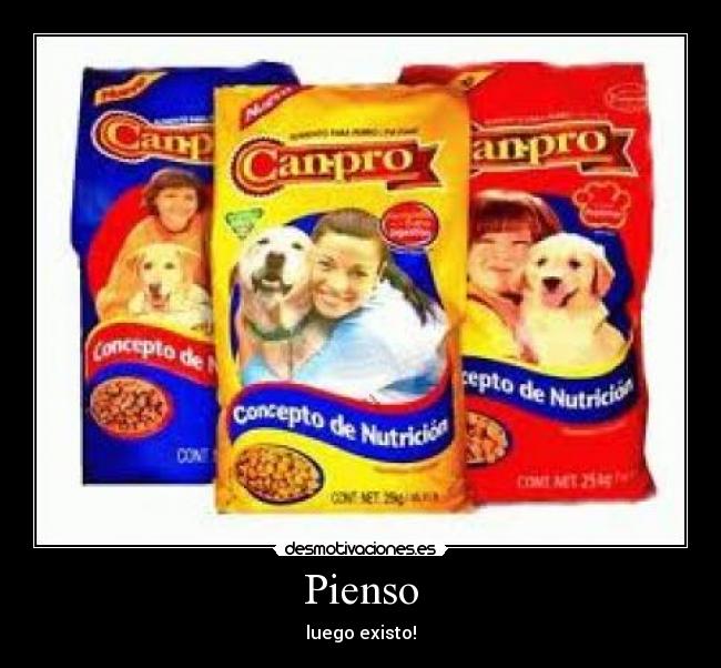 Pienso - luego existo!