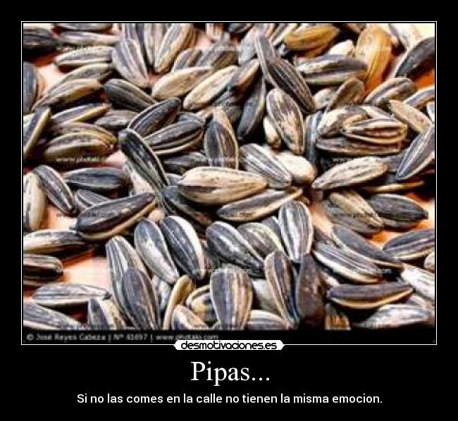 Pipas... - 
