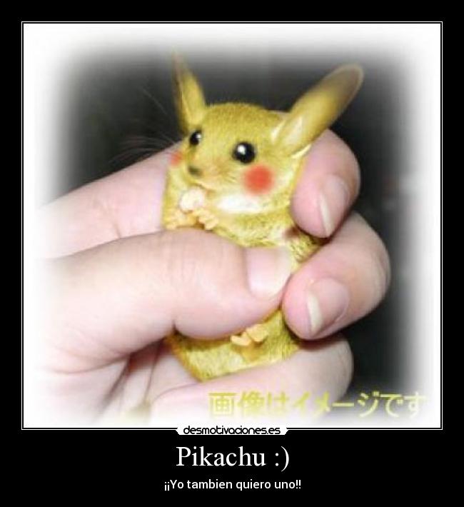 Pikachu :) - ¡¡Yo tambien quiero uno!!