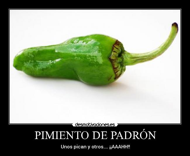 PIMIENTO DE PADRÓN - 