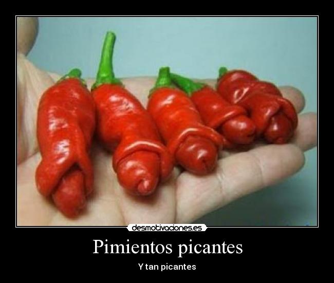 carteles pimientos picantes desmotivaciones
