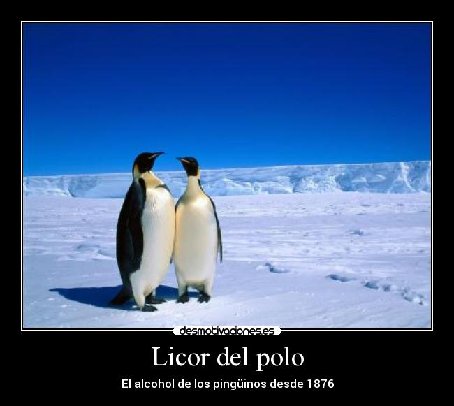 Licor del polo - 