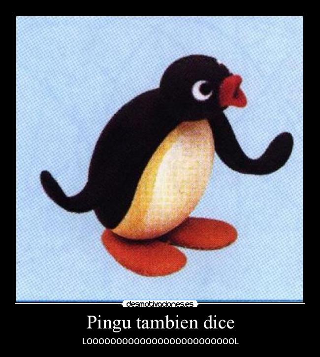 Pingu tambien dice -