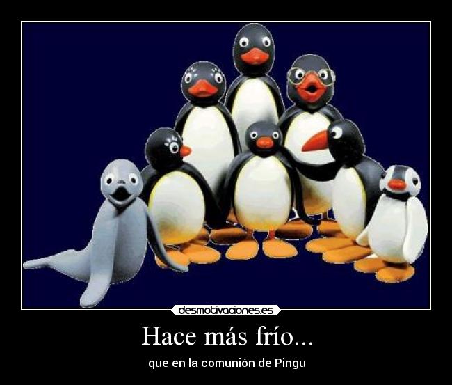 Hace más frío... - que en la comunión de Pingu