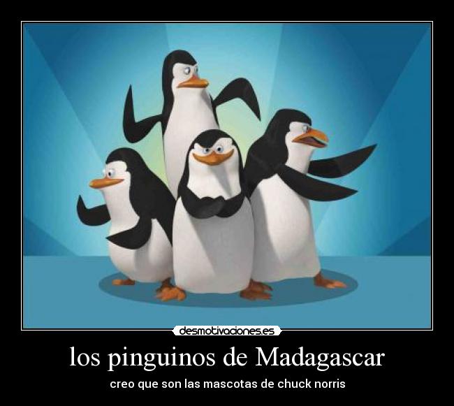 los pinguinos de Madagascar - creo que son las mascotas de chuck norris