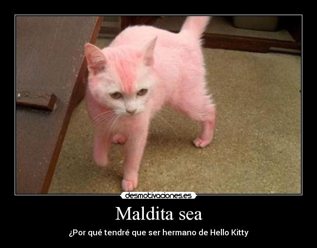 Maldita sea -
