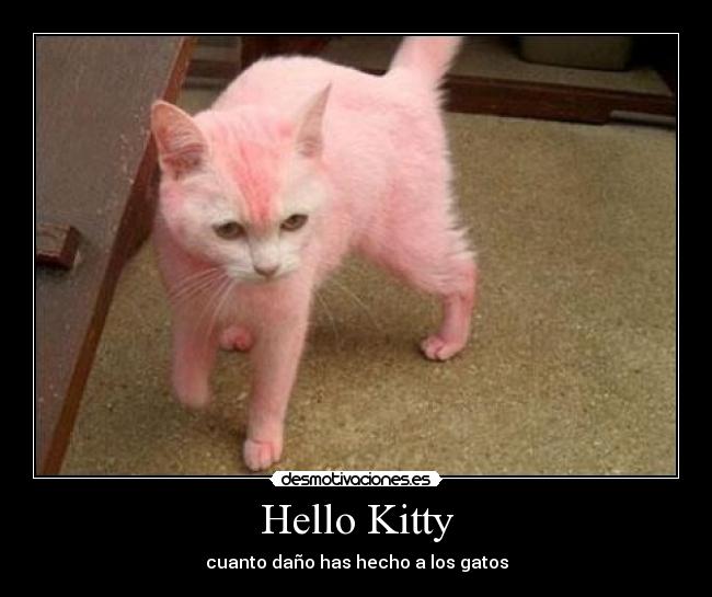 Hello Kitty - 