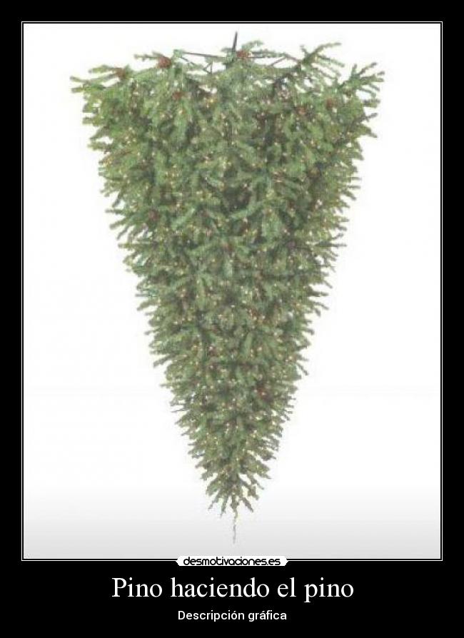 Pino haciendo el pino -