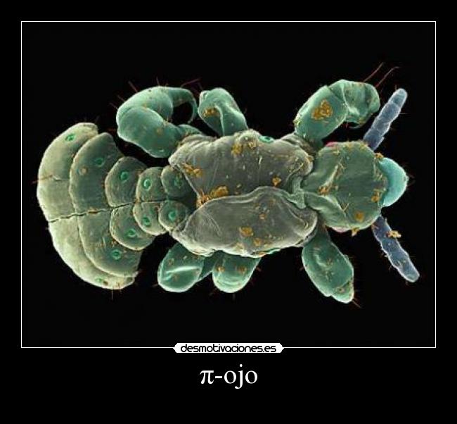 π-ojo -