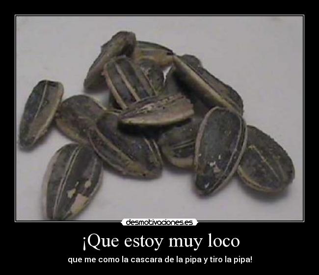 ¡Que estoy muy loco -