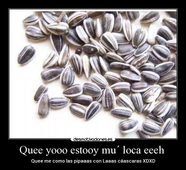 Quee yooo estooy mu´ loca eeeh -