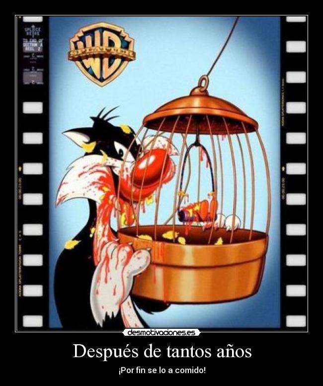 Después de tantos años - 