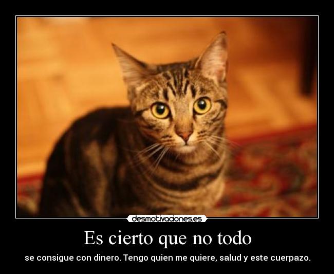 Es cierto que no todo -