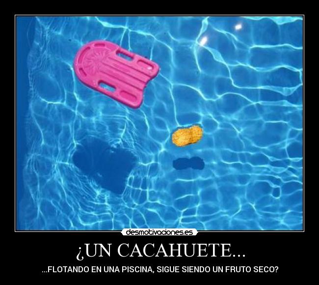 ¿UN CACAHUETE... - ...FLOTANDO EN UNA PISCINA, SIGUE SIENDO UN FRUTO SECO?