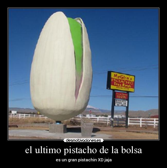 el ultimo pistacho de la bolsa -
