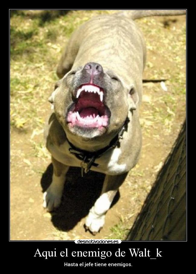 carteles enemigo enemigo walt_k desmotivaciones