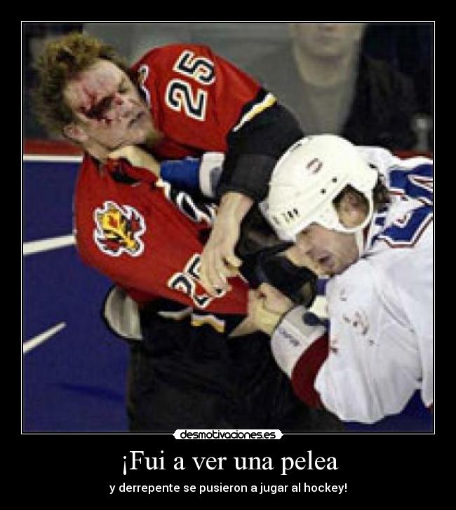 ¡Fui a ver una pelea -