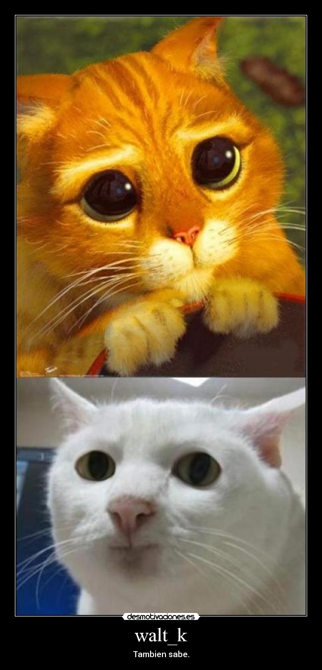walt_k - Tambien sabe.