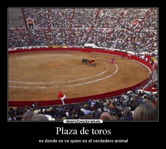 Plaza de toros - es donde se ve quien es el verdadero animal