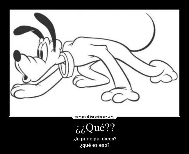 ¿¿Qué?? -
