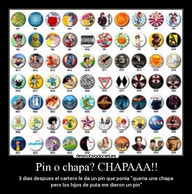 Pin o chapa? CHAPAAA!! - 3 dias despues el cartero le da un pin que ponia queria una chapa
pero los hijos de puta me dieron un pin