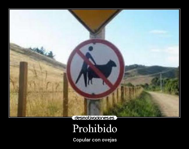 Prohibido - Copular con ovejas