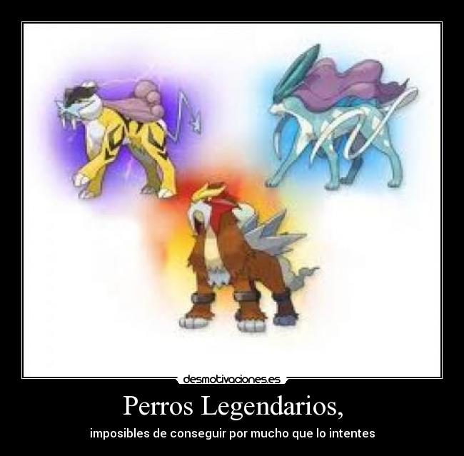 Perros Legendarios, - imposibles de conseguir por mucho que lo intentes