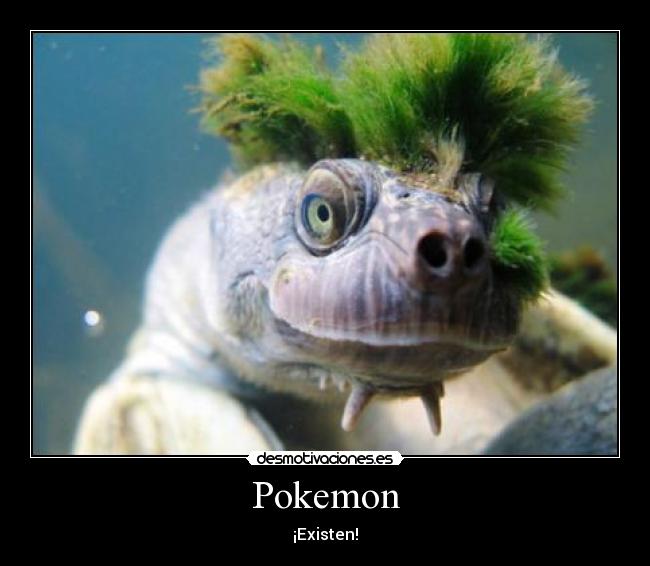 Pokemon - 