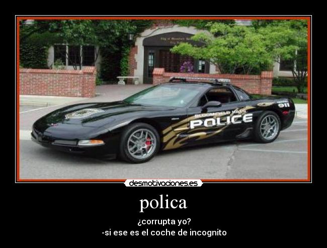 polica - 