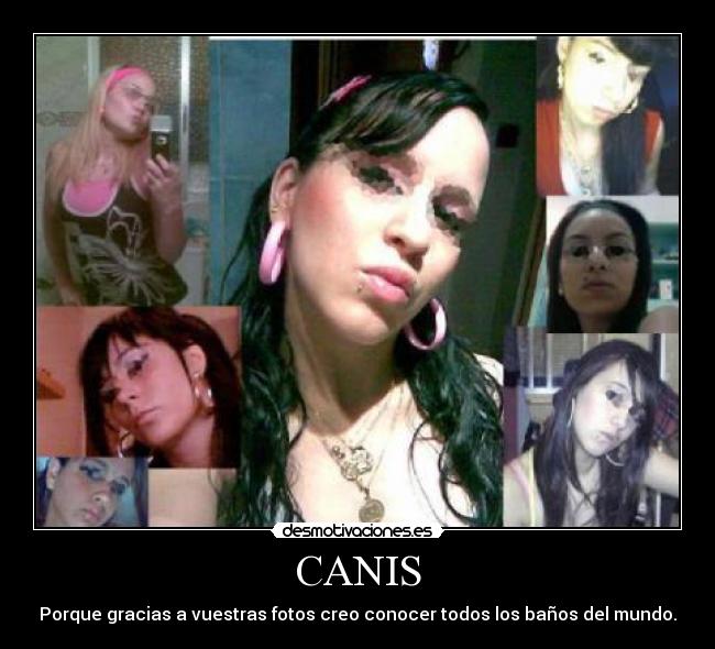 CANIS -