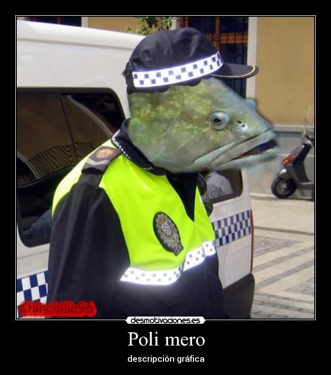 Poli mero - 