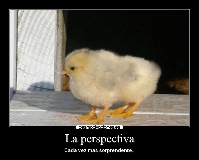La perspectiva -