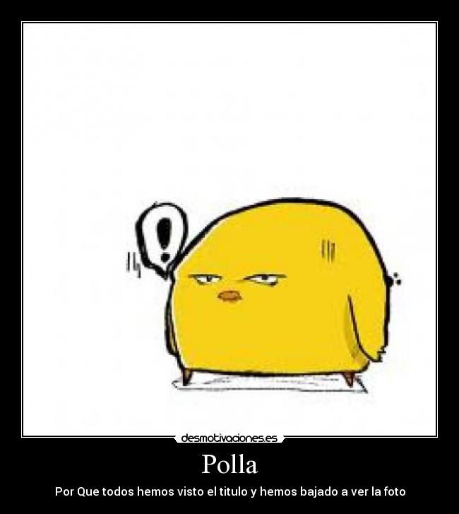 Polla -
