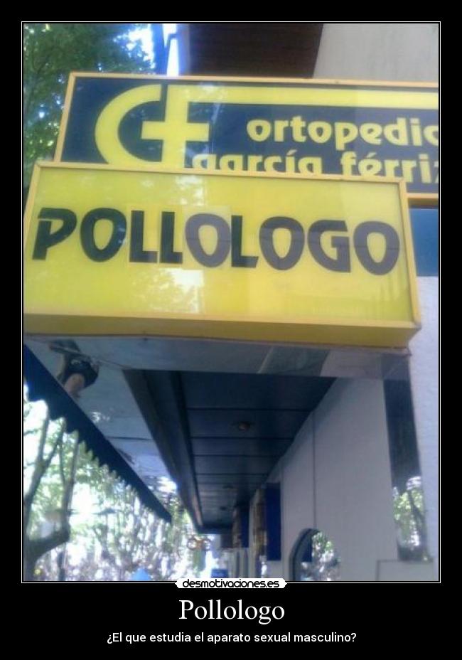 Pollologo - ¿El que estudia el aparato sexual masculino?