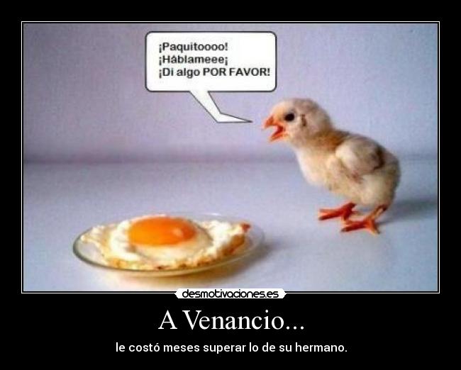 carteles venancio pollo frito huevo desmotivaciones