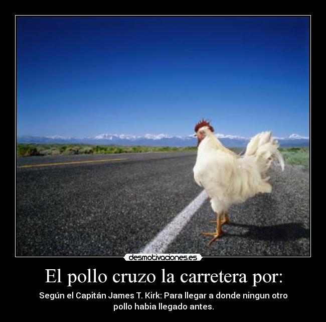 El pollo cruzo la carretera por: -