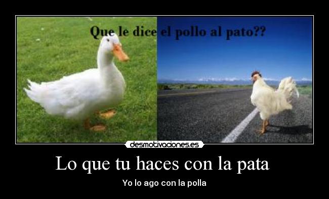 Lo que tu haces con la pata - Yo lo ago con la polla